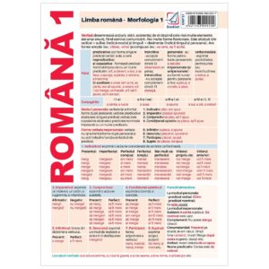 Pliant limba romana - Morfologie 1