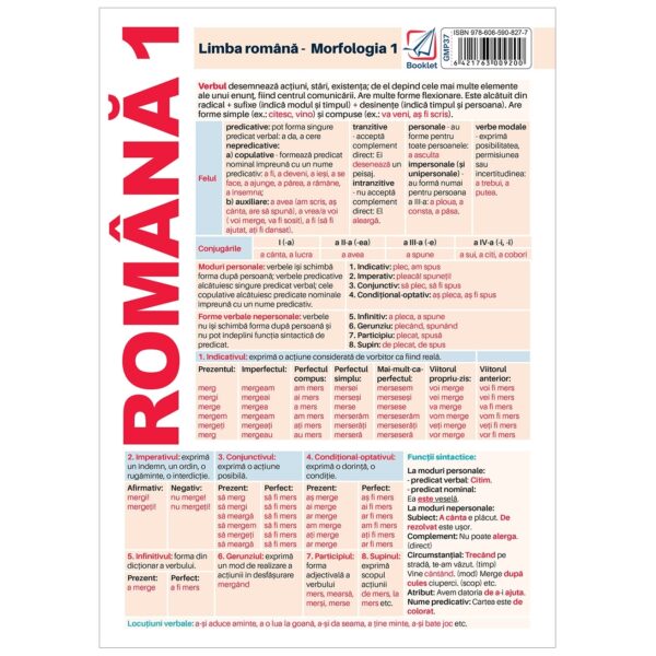 gmp37 Pliant limba romana - Morfologie 1